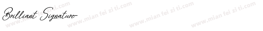Brilliant Signature字体转换